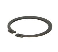 Anillo de seguridad para dispositivo de elevación EVERT ZL204301016