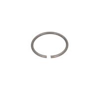 Anillo de seguridad para dispositivo de elevación EVERT ZL204302001