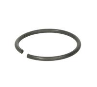 Anillo de seguridad para dispositivo de elevación EVERT ZL204302004