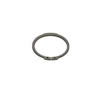 Anillo de seguridad ZF 0630501195ZF