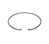 Anillo de seguridad ZF 0730513745