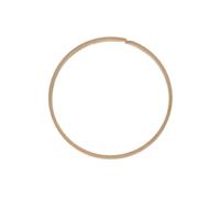 Anillo de seguridad ZF 0750112066ZF