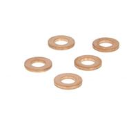 Anillo de sellado, inyector Common Rail DELPHI 9001-850, 5 Pieza