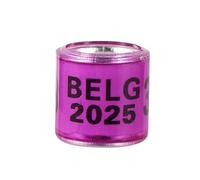 Anillo Multicolor for pie de Paloma con Pendientes con Palabra, Anillo Duradero de Calidad for Carreras de Palomas, Herramienta de Entrenamiento de Aves, 2024/2025, 100 Uds.(Purple,Year 2024)