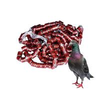 Anillos De Identificación De Palomas - 50 Piezas De Suministros De Palomas Seguros Anillos De Banda | Pigeon Suministra Bandas Anillos De Pie Para Pájaros, Anillos De Pie Accesorios De , Bandas