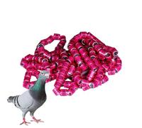Anillos De Identificación De Palomas - 50 Piezas De Suministros De Palomas Seguros Anillos De Banda | Pigeon Suministra Bandas Anillos De Pie Para Pájaros, Anillos De Pie Accesorios De , Bandas