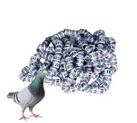 Anillos de identificación de Plobing - 50 piezas de cintas de colores | Accesorios para pájaros de aves, resistentes y seguros, ideales para mensajeros, carreras, cría, patos y más
