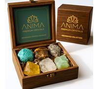 Anima Premium Abundance Healing Crystals Set for Success & Good Luck - Large Raw Citrine, Pyrite, Tigers Eye, Green Aventurine, Amazonite & Clear Quartz - Wooden Gift Box and Guide Booklet Included