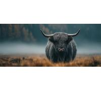 Animal 5D Diamond Painting, Ox Diamond Painting Adultos, DIY Cuadro Diamante Accesorios, 5D Dibujos con Diamantes Art Kit Manualidades Adultos, Regalo Mujer, Primavera Decoracion Hogar 110x50cm J-9990