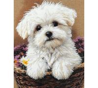 Animal Alfombra Anudada Para Hacer El Perro Blanco En La Cesta De Flores. Kit De Costura De Crochet，Kits Clásico De Alfombras Con Aguja De Pestillo Para Adultos，Set De Manualidades 3D P 35x46in