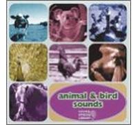 Animal & Bird Sounds - Animal & Bird Sounds