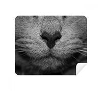 Animal Cat Fotografía Fotografía Fotografía Fotografía Teléfono Pantalla Limpiador Gafas Paño de Limpieza 2pcs Suede Tela