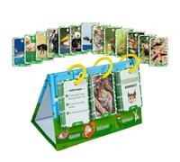 Animal Cognition Flash Cards - Educational Animal Photo Learning Cards Kids, Vocabulary Builder and Matching Puzzle Game for Early Education, Preschool Homeschool Teaching Tool 6.46in