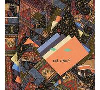 Animal Collective - Animal Collective: Isn't It Now? (Limited) (Tangerine) [2xWinyl]