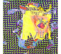 Animal Collective Ballet Slippers (Vinyl) 12" Album Box Set