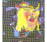 Animal Collective Ballet Slippers (Vinyl) 12" Album Box Set