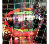 Animal Collective - Centipede HZ (2 LP)