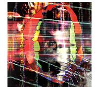 Animal Collective - Centipede Hz