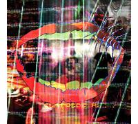 Animal Collective - Centipede Hz
