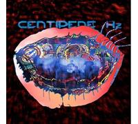 Animal Collective - Centipede Hz
