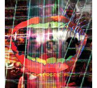 Animal Collective – Centipede HZ – Vinilo – Domino