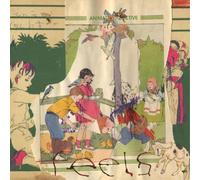 Animal Collective – Feels – Vinilo – Domino