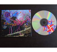 Animal Collective - Here Comes the Indian