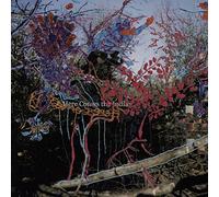 ANIMAL COLLECTIVE - Here Comes The Indian [Vinilo]