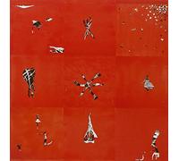 Animal Collective - Hollinndagain