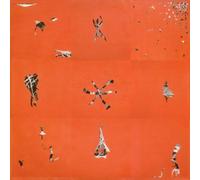 Animal Collective - Hollinndagain [Vinilo]