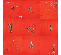 Animal Collective – Hollinndagain – Vinilo (Importación USA) – Domino