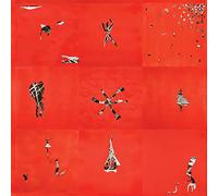 Animal Collective – Hollinndagain – Vinilo (Importación USA) – Domino