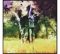 Animal Collective - Meeting of the Waters Rsd 2017 [Vinilo]
