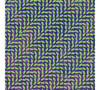 Animal Collective Merriweather Post Pavilion (CD) Album