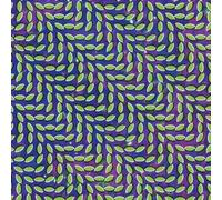 Animal Collective – Merriweather Post Pavilion – Vinilo 12" – Domino