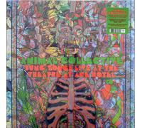 Animal Collective - Sung Tongs Live At The Theatre At Ace Hotel (Reissue) (Anniversary Edition) (Neon Orange & Light Green Coloured) (2 LP)