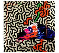 Animal Collective – Tangerine Reef – Vinilo
