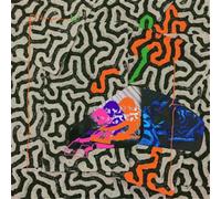 Animal Collective – Tangerine Reef – Vinilo 12" – Domino