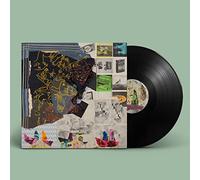 Animal Collective - Time Skiffs (2LP-Vinilo)