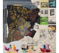 Animal Collective – Time Skiffs – 2LP Vinilo – Edición Deluxe – Domino