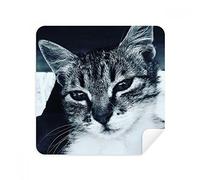 Animal Cool Gray Cat Fotografía Gafas Limpieza Paño de Limpieza de Pantalla Teléfono Limpiador Suede Tela 2pcs