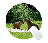 Animal Design Cute Baby Pig Mousepad, Capybara Round Mouse Pads