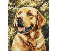 Animal Diy Kit Alfombra Gancho De Pestillo Retrato De Un Labrador Retriever Kits Para Alfombras Con Aguja De Pestillo，Kit De Ganchillo Para Principiantes，Juego De Tapiz Con Lienzo Imp 21x29in