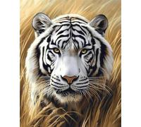 Animal Diy Kit Alfombra Gancho De Pestillo Tigre Blanco De Fantasía Juego De Alfombras Con Aguja De Pestillo，Kits De Alfombra Hechos A Mano Con Preimpresión，Regalo De Artesanía 3D Diy 23x35in