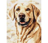 Animal Diy Kit Manualidades Alfombra Retrato De Un Labrador Retriever Kits Para Hacer Alfombras Con Aguja De Pestillo Kit Para Hacer Tapiz，Personas Mayores Y Aficionados Al Bricolaje 3 35x46in