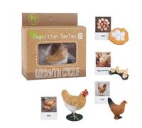 Animal Flashcard Learning Game, Observation Skills Toy for Kids