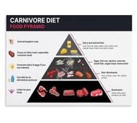Animal Food Pyramid Poster Carnivore Diet Reference