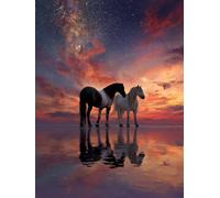 Animal Horse Star Diamond Painting Adultos Kits, 5D Taladro Redondo Diamantes Painting Niños Pintura, Diamant Art Bordado Punto de Cruz Cuadros, Arte Mosaico For Decoración Pared Del 60x80cm hJ8-172