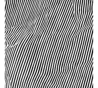 Animal Hospital - Fatique [Vinilo]