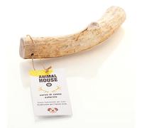 Animal House - Cornamenta de Reno para Perros - Masticable 100% Natural - Refuerza la higiene bucal - Resistente y Duradero (L)